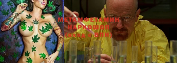индика Елизово