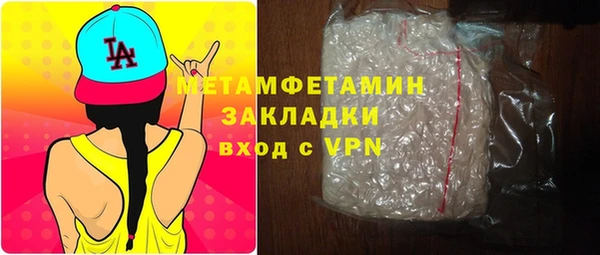индика Елизово
