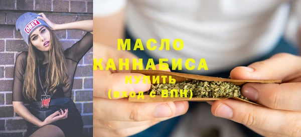 мдпв Елабуга