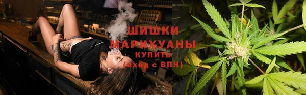 индика Елизово