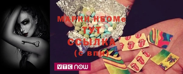 соль ск Ельня