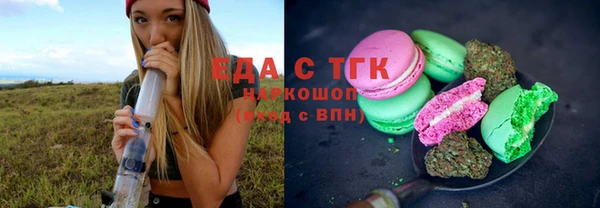 индика Елизово