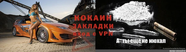 индика Елизово