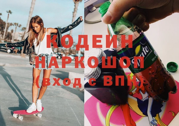 мдпв Елабуга