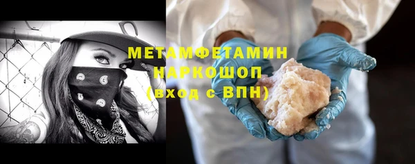 индика Елизово