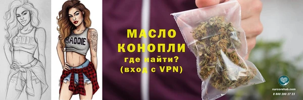 мдпв Елабуга
