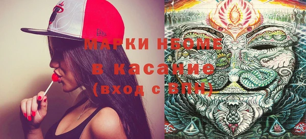 соль ск Ельня