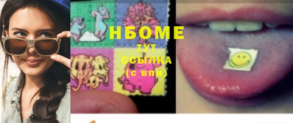 мдпв Елабуга