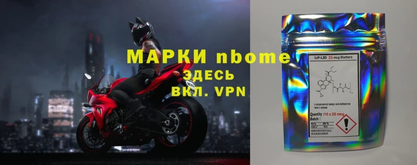 мдпв Елабуга