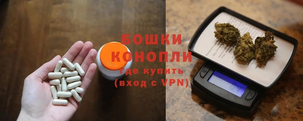 мдпв Елабуга