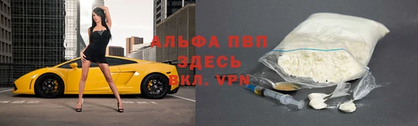 соль ск Ельня