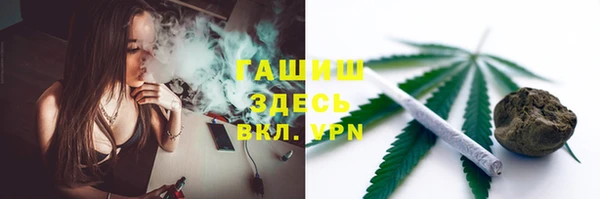 соль ск Ельня