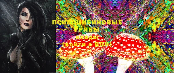 мдпв Елабуга