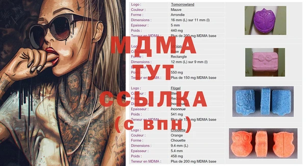 индика Елизово