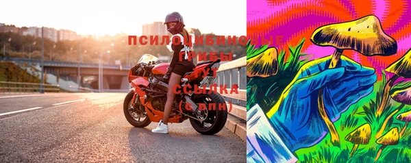 индика Елизово