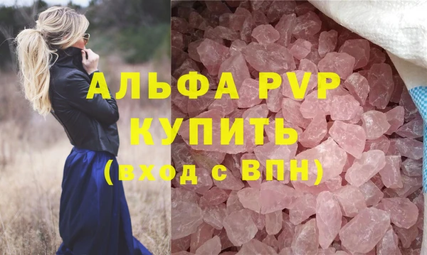индика Елизово