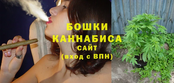 индика Елизово
