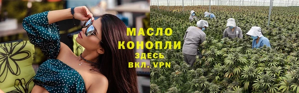 индика Елизово