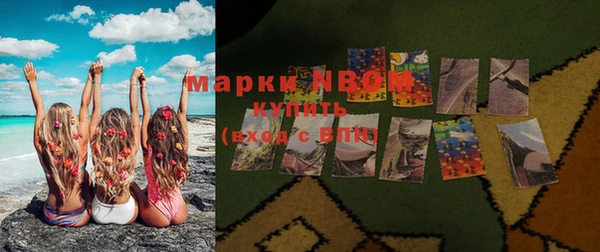 мдпв Елабуга