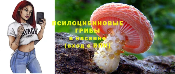 соль ск Ельня