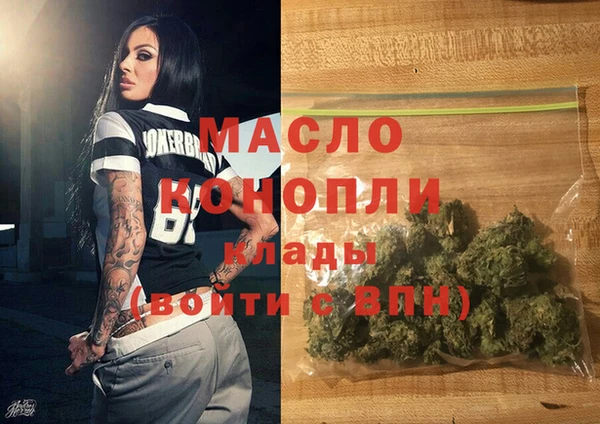 соль ск Ельня