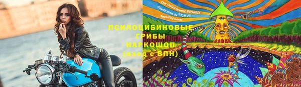 индика Елизово