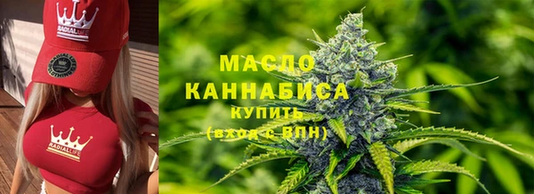 соль ск Ельня