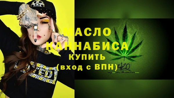 индика Елизово