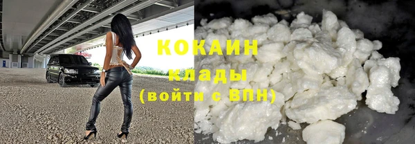 соль ск Ельня