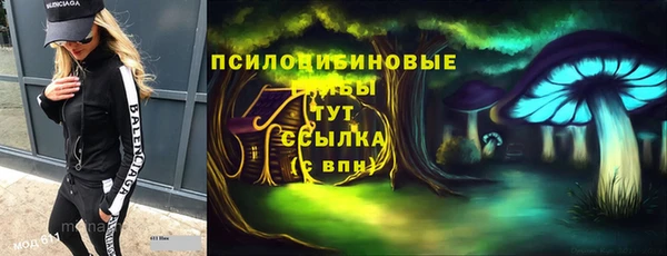 индика Елизово
