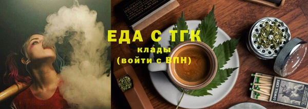 индика Елизово