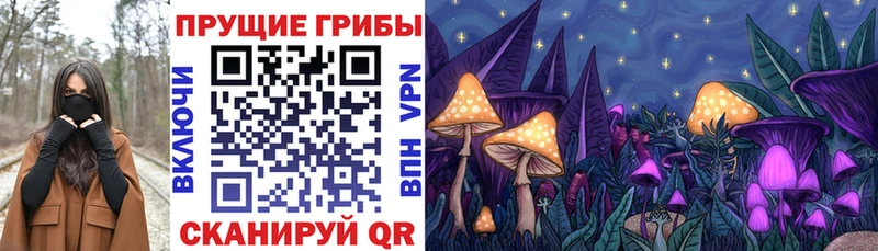 Купить закладки  Верхняя Салда  Псилоцибиновые грибы MAGIC MUSHROOMS 